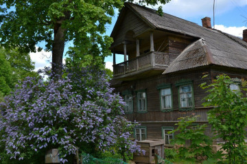 Старообрядческие дома в деревне Лампово